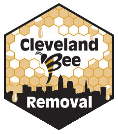 Cleveland Bee Removal | Bee Control And Removal