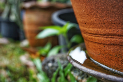 Image of a pot with with standing water which is an attractive breeding ground for mosquitos.