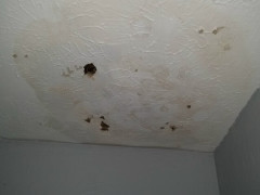 Ceiling before dry wall removed